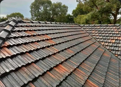 Cleaning Roof Tiles: Your Complete Guide